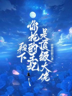 殿下,你抢的王妃是顶级大佬
